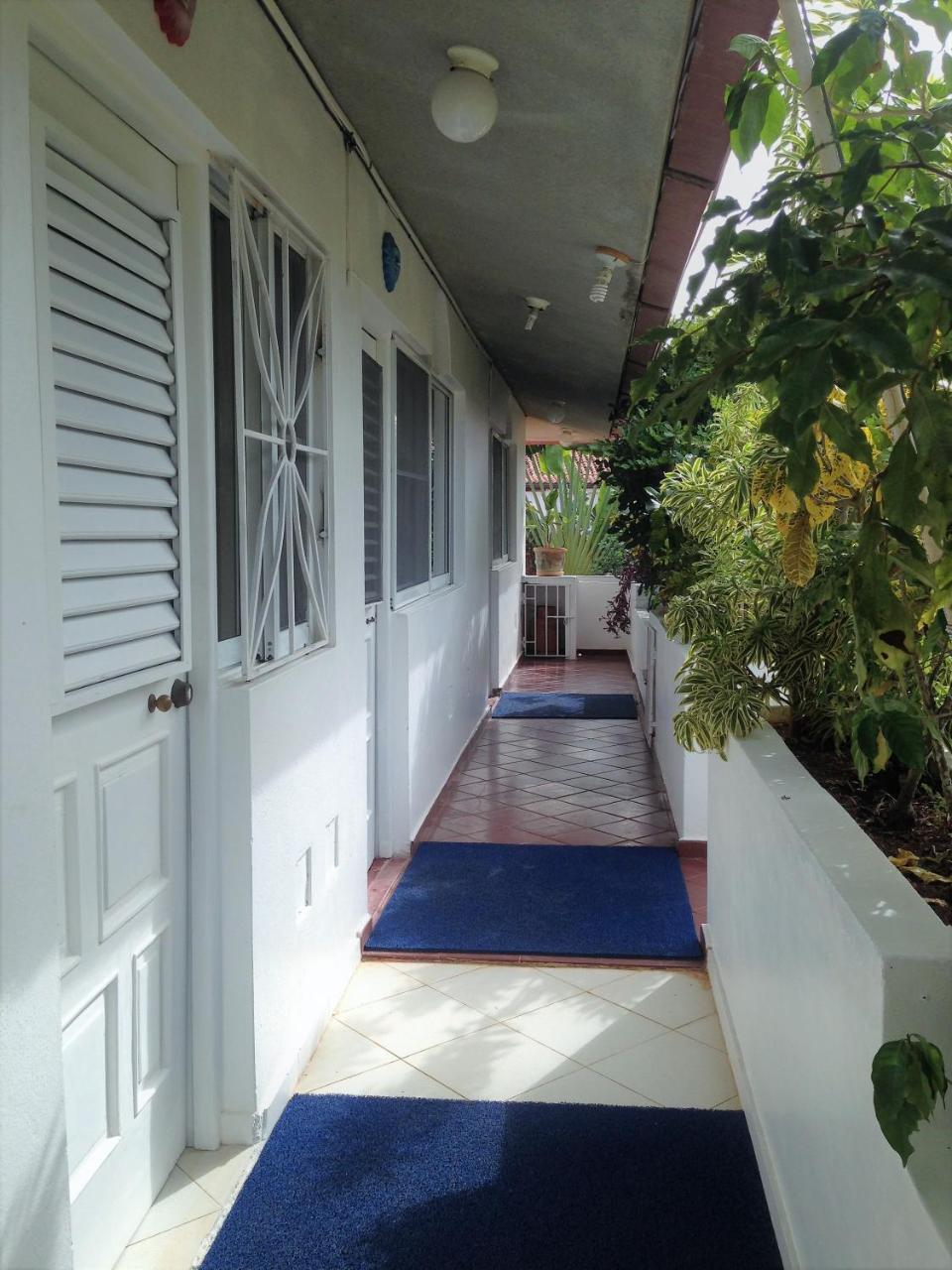 باياهيبي Casa Felicita B&B Y Apartamentos المظهر الخارجي الصورة
